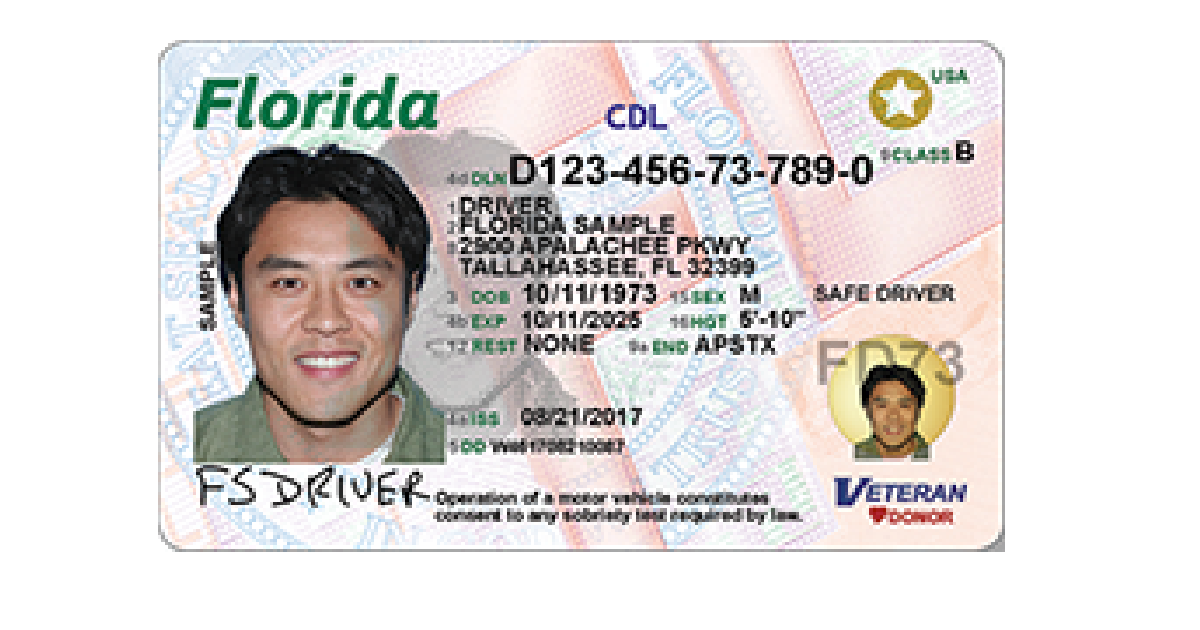 florida dmv check drivers license